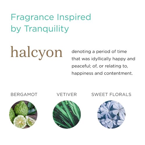 MKS Eco WOW Replenish Conditioner - Halcyon Scent, 25 Fl Oz | Vegan & Cruelty-Free, No Sulfates or Parabens
