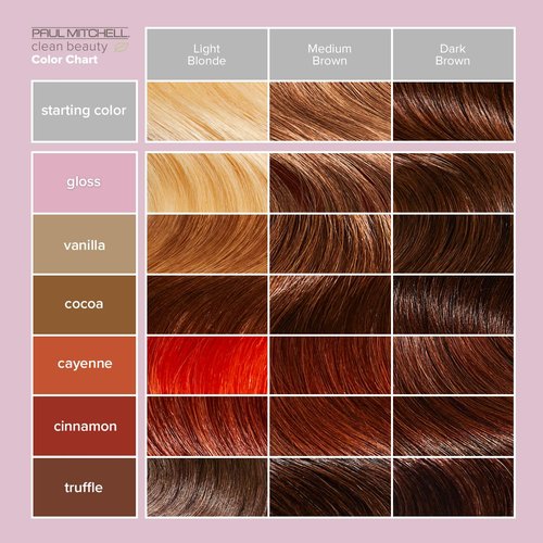Paul Mitchell Color-Depositing Treatment - Refresh & Protect Color-Treated Hair
