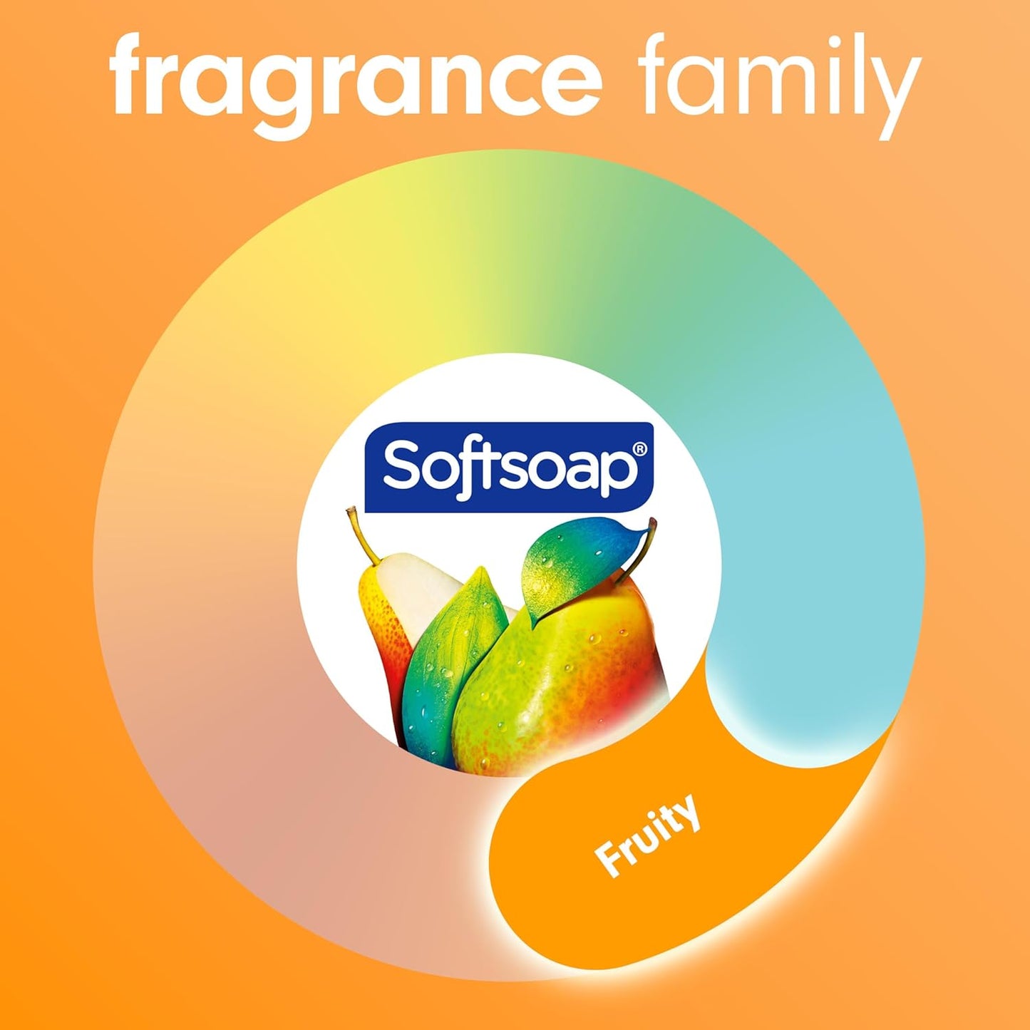 Softsoap Antibacterial Liquid Hand Soap - Crisp Clean Scent | 11.25 Ounce, 6 Pack