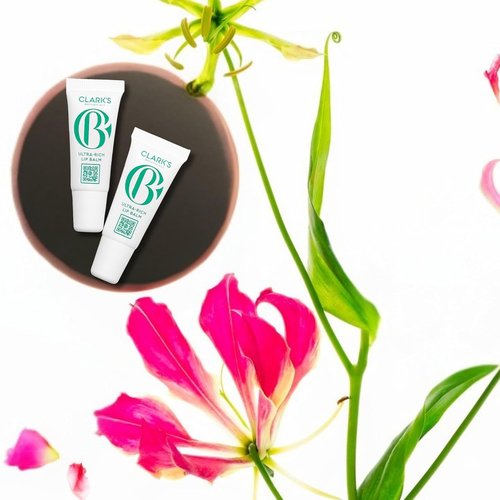 Clark's Botanicals Mini Ultra Rich Lip Balm: Plumping Moisturizer with Collagen and Shea, Mango & Avocado Butter + Vitamin E | 0.14 fl oz (Pack of 2)
