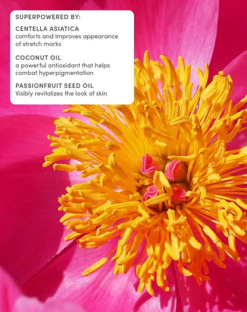 Evereden Petit Bouquet Belly Serum - 1.7 Fl Oz | Clean & Vegan Pregnancy Oil for Stretch Marks | Non-Toxic Maternity Skincare