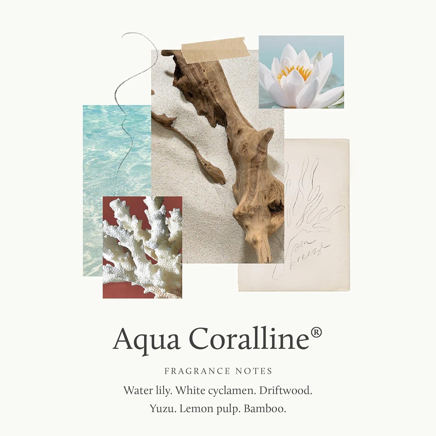 Thymes Aqua Coralline Plug-In Diffuser Refills - Smart Home Aroma Pack of 2