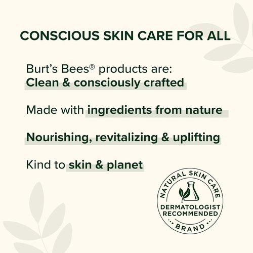 Burt's Bees Lip Balm Gift Set - Beeswax Bounty Fruit Mix | Perfect 4-Pack for Gift Baskets, 0.15 oz Each