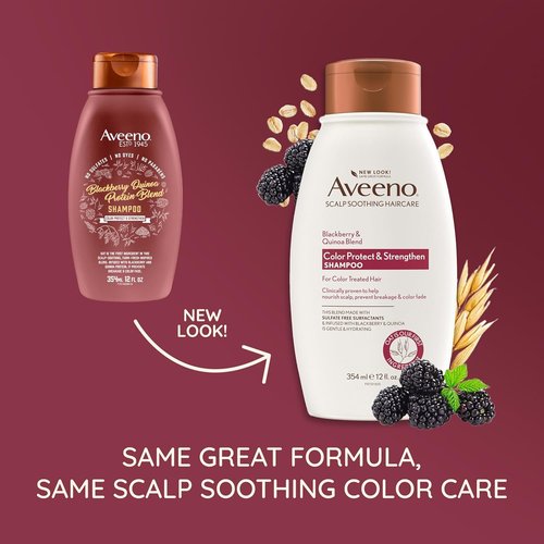 OGX Color Protect Shampoo - Strengthen & Nourish with Blackberry Quinoa | 12 Fl Oz