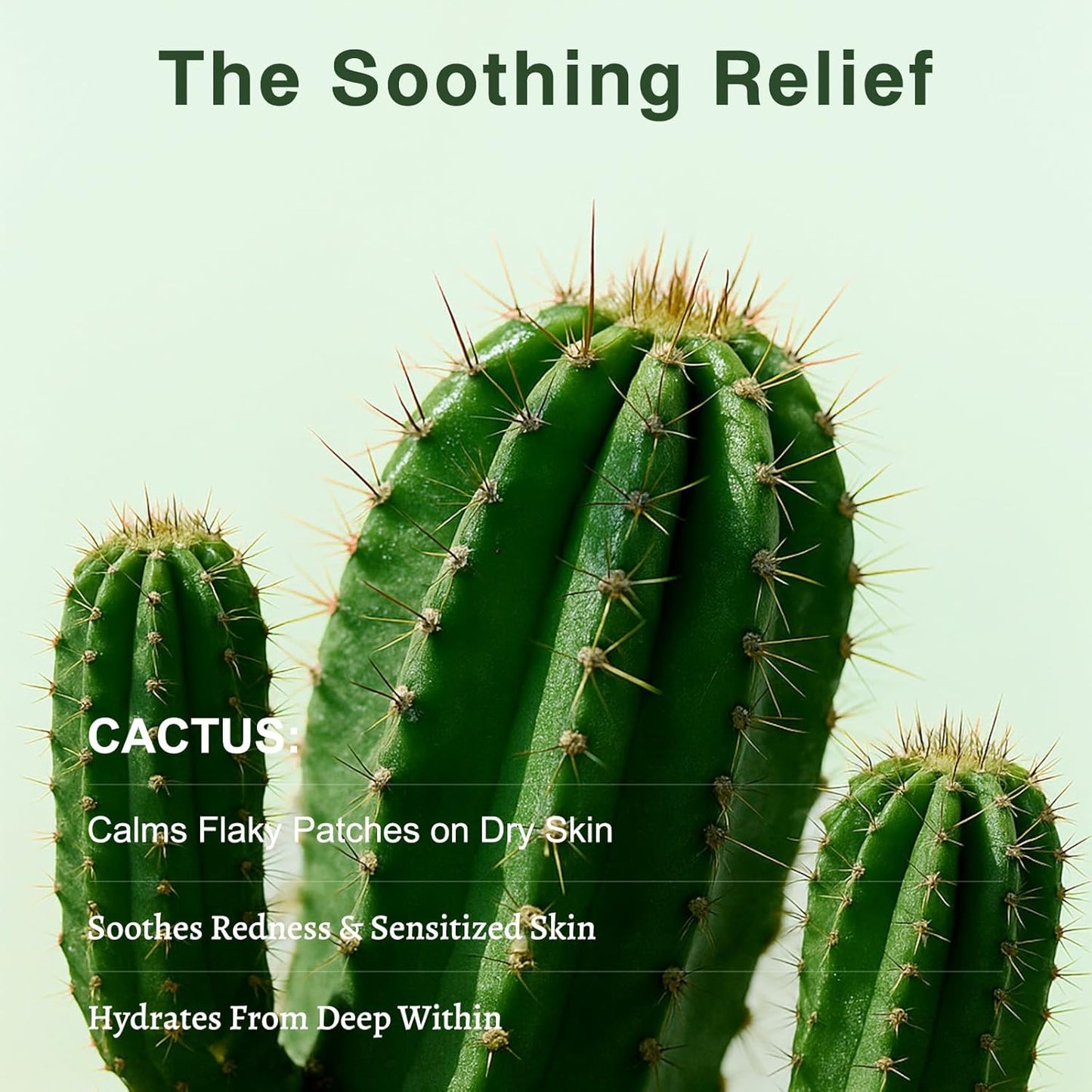 SPRINGSKY Hydrating Face Mask - Natural Cactus & Centella Asiatica for 24HR Moisture | 4 Count