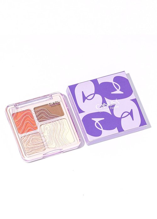 Regine Switzerland 4-in-1 Contour Palette - Blush, Matte & Pearlescent Highlighter, Bronzer | Long-Lasting Makeup