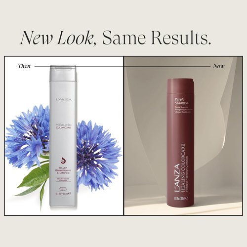 L'ANZA Healing Colorcare Purple Shampoo - Neutralizes Brass & Brightens Blondes | Sulfate-Free, Moisturizing