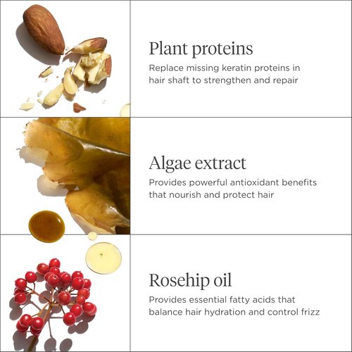 Briogeo Don't Despair, Repair! Super Moisture Conditioner - Moisturizing Argan Oil Formula for Dry, Damaged Hair | Vegan & Cruelty-Free