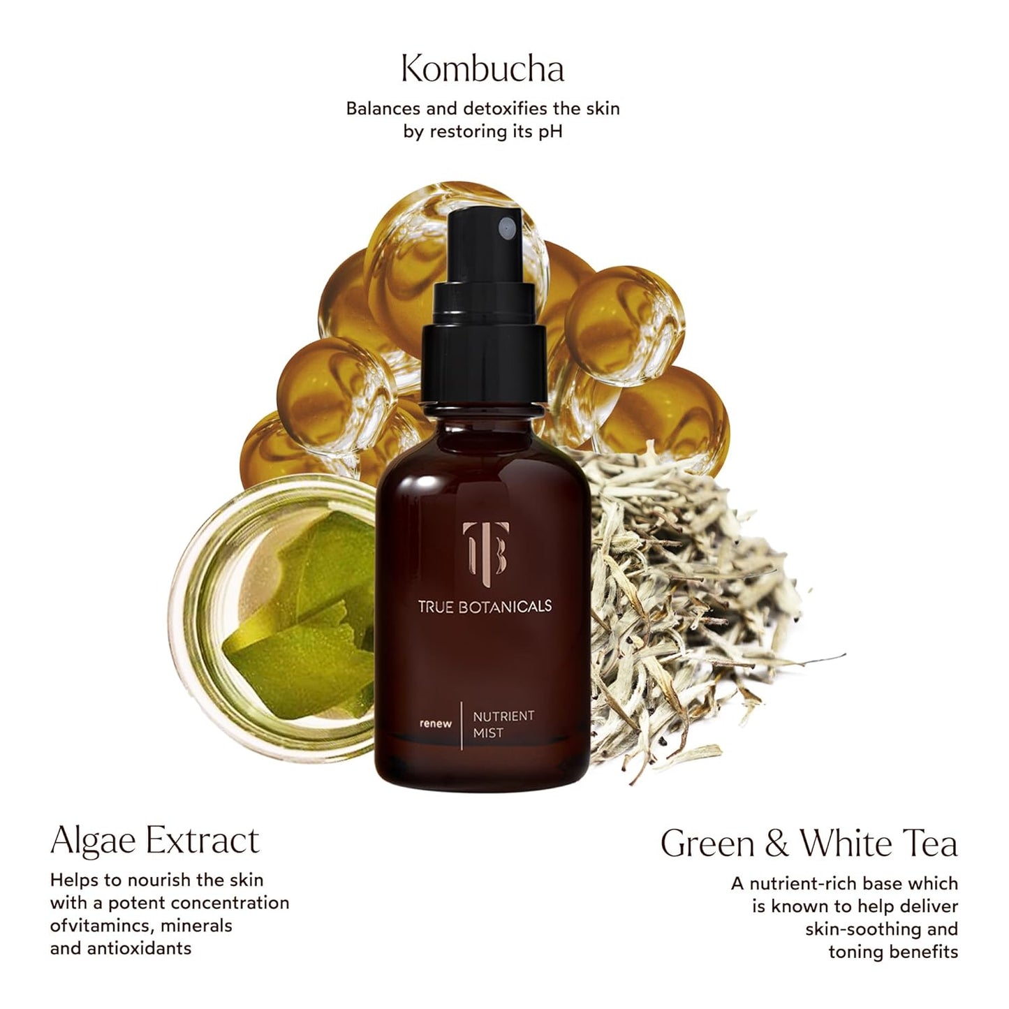 True Botanicals Renew Nutrient Mist - Deep Hydration & Refreshing Spray | Dermatologist Tested, Vegan | 1.7 oz (50 ml)