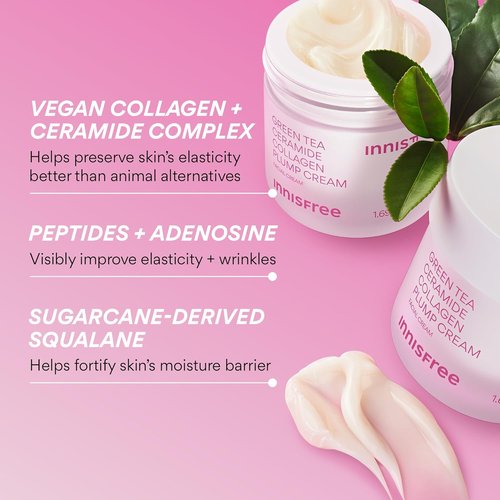 Innisfree Green Tea Ceramide Collagen Plump Cream - Korean Face Moisturizer for Youthful Skin