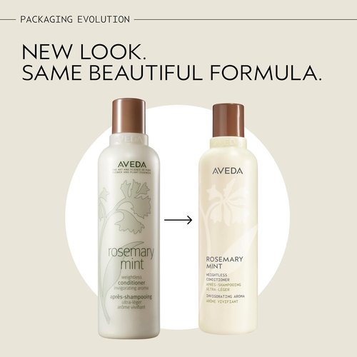 Aveda Rosemary Mint Conditioner - Lightweight Daily Formula for Body & Shine | Normal to Oily Hair, Fine to Medium Hair