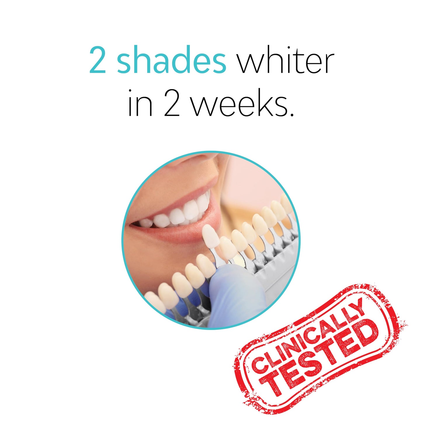 TAO Clean Daily Care Whitening Replacements Heads - Black - 2 Pack