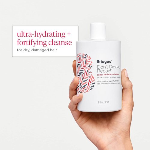 Briogeo Don't Despair, Repair! Super Moisture Shampoo - Moisturizing Argan Oil Formula for Dry, Damaged Hair | Sulfate-Free, Vegan & Cruelty-Free