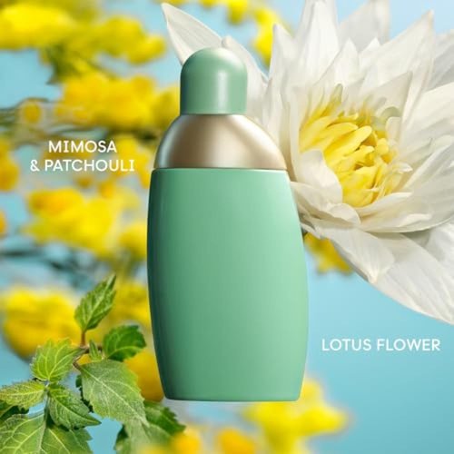 Cacharel Eden Eau de Parfum for Women - Floral Chypre Fragrance with Mimosa & Sandalwood Notes