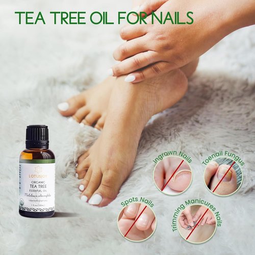 Australian Tea Tree Oil - 100% Pure Organic Essential Oil for Skin, Hair, Face & Scalp | 1 Oz