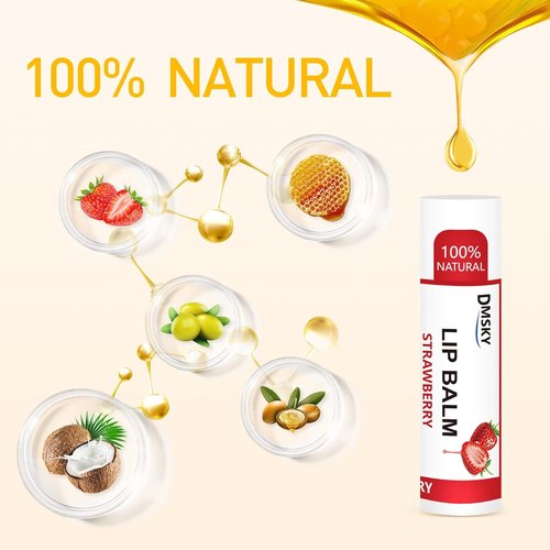 DMSKY Lip Balm Bulk - Moisturizing Coconut Oil & Vitamin E for Dry Lips | 24 Pack with 12 Flavors
