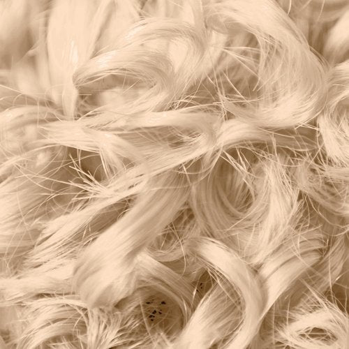 Ion 10G Golden Blonde Permanent Hair Color - Lightest Liquid Formula for Vibrant Results