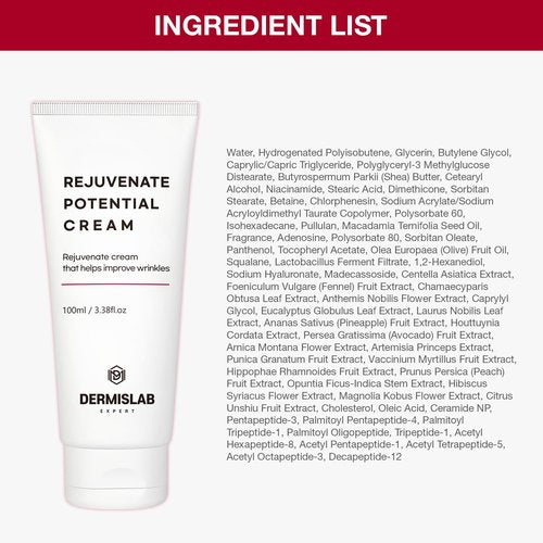 DermisLab Rejuvenate Potential Cream – Korean Skincare Collagen & Hyaluronic Acid Firming Hydration Face Cream | 100 ml / 3.38 oz