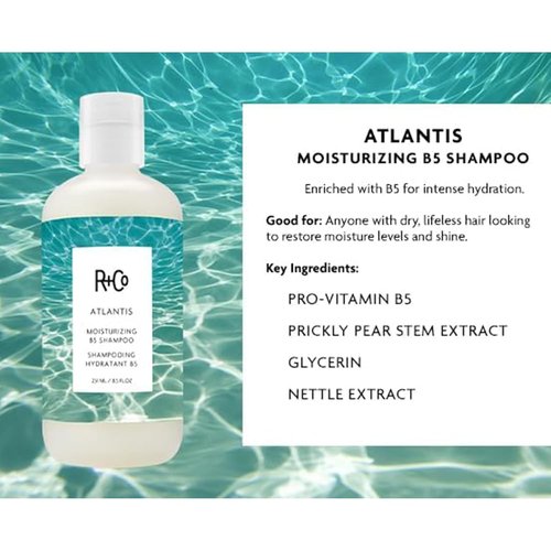 R+Co ATLANTIS Moisturizing B5 Shampoo - Hydrating & Strengthening Formula for All Hair Types