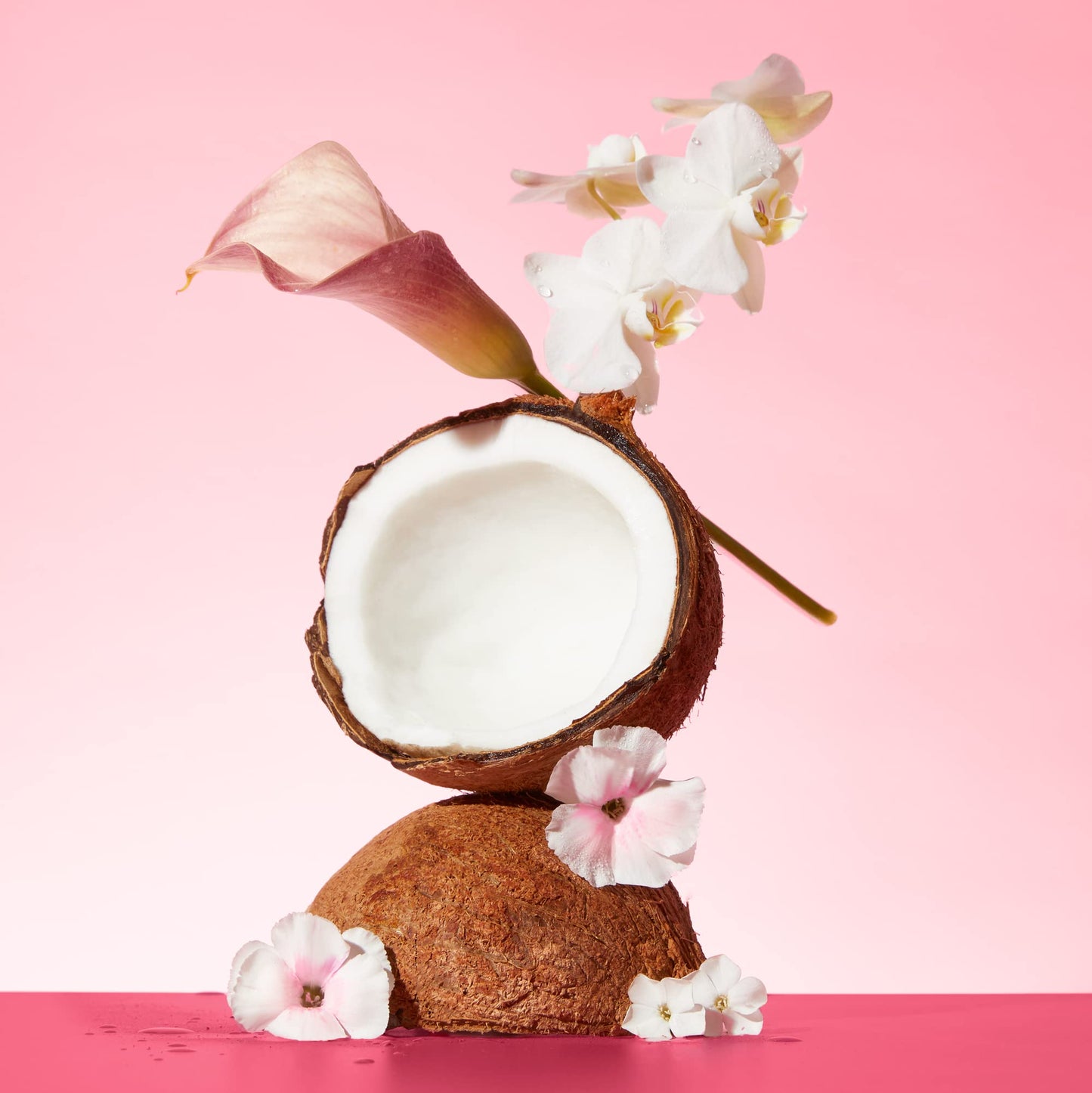 Saltair Body Wash, Pink Beach 2-Pack. Moisturizing Body Cleanser with Monoi Oil and Cupuacu Butter. Luxury Shower Gel for Women. Vegan, Cruelty-Free, Paraben-Free. 2x 17oz Pump Bottles