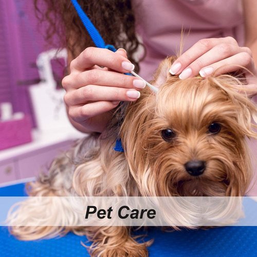 800 Pieces Cotton Swabs, Spiral Pointed Tipped with Paper Stick, Quality Cotton Heads- Sturdy Handle - Multipurpose, 4 Packs, 200 Pieces 1 Pack