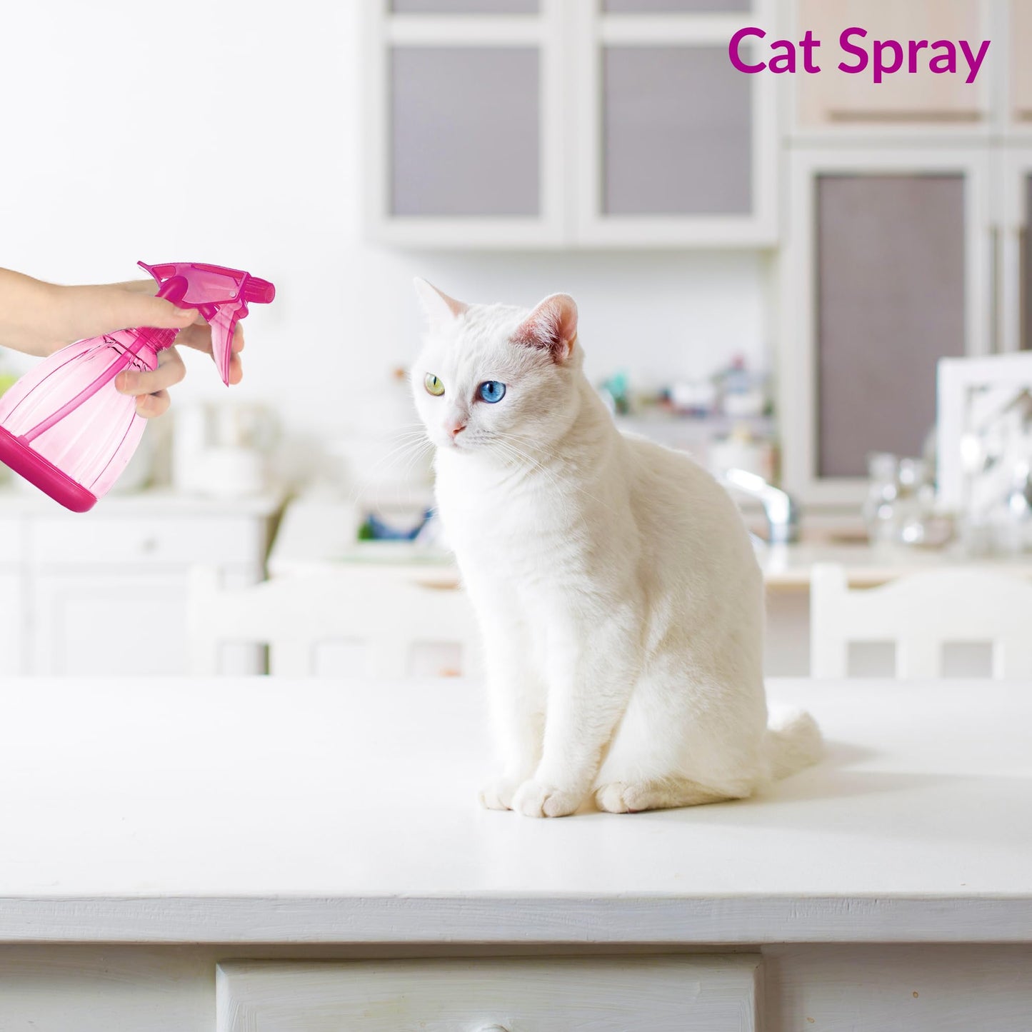 DilaBee Spray Bottles (12 Oz) Water Spray Bottle for Hair, Plants, Cleaning Solutions, Cooking, BBQ, Squirt Bottle for Cats - Empty Spray Bottles - BPA-Free - Multicolor (Pink, 1 Pack)