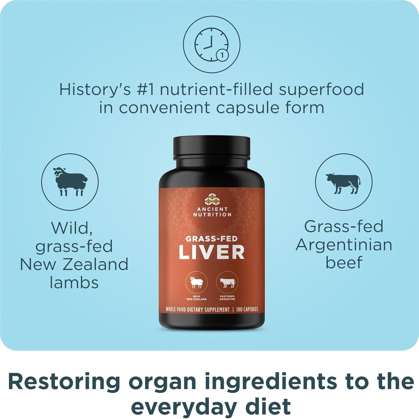 Ancient Nutrition Organ Supplements - Grass-Fed Beef & Lamb Liver Complex Capsules | 180 Ct for Healthy Blood & Gut Support