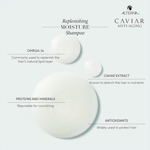 Alterna CAVIAR Anti-Aging Replenishing Moisture Shampoo - Hydrates & Restores Dry Hair | Sulfate Free