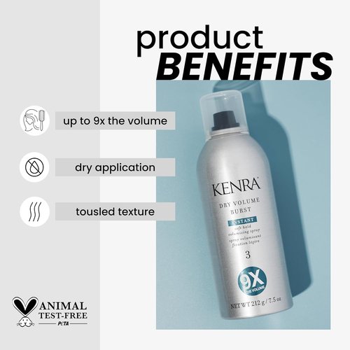 Regine Switzerland Dry Volume Burst 3 - Instant Volume Hairspray for All Hair Types | Soft Hold