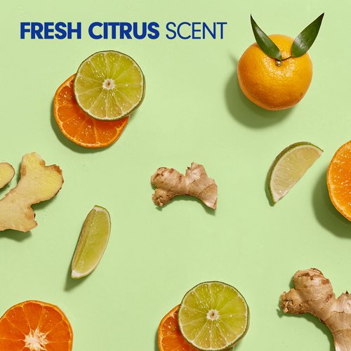 Softsoap Liquid Hand Soap Refill, Fresh Citrus, 50 Oz, Green, Carton Of 6 Refills