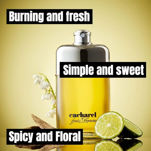 Cacharel Pour L'Homme Cologne - Woody & Spicy Fragrance with Cedar Wood & Bergamot | 3.4 Fl Oz