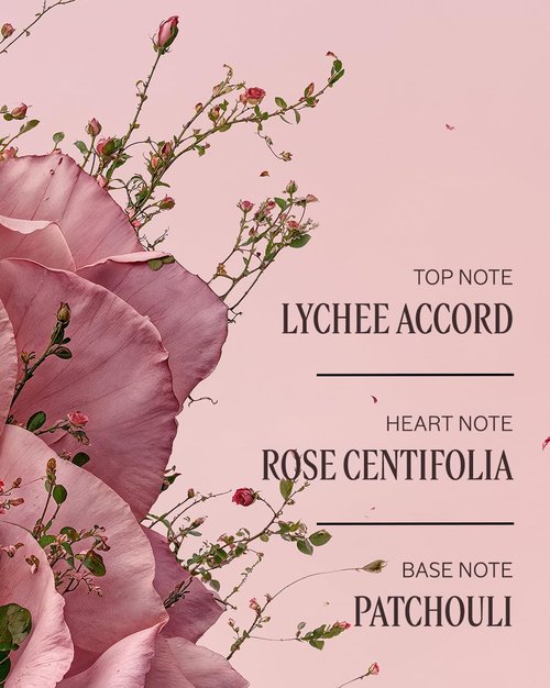 L'Occitane Rose Body Lotion - Moisturizing Shea Butter Formula with Romantic Rose Fragrance | Made in France