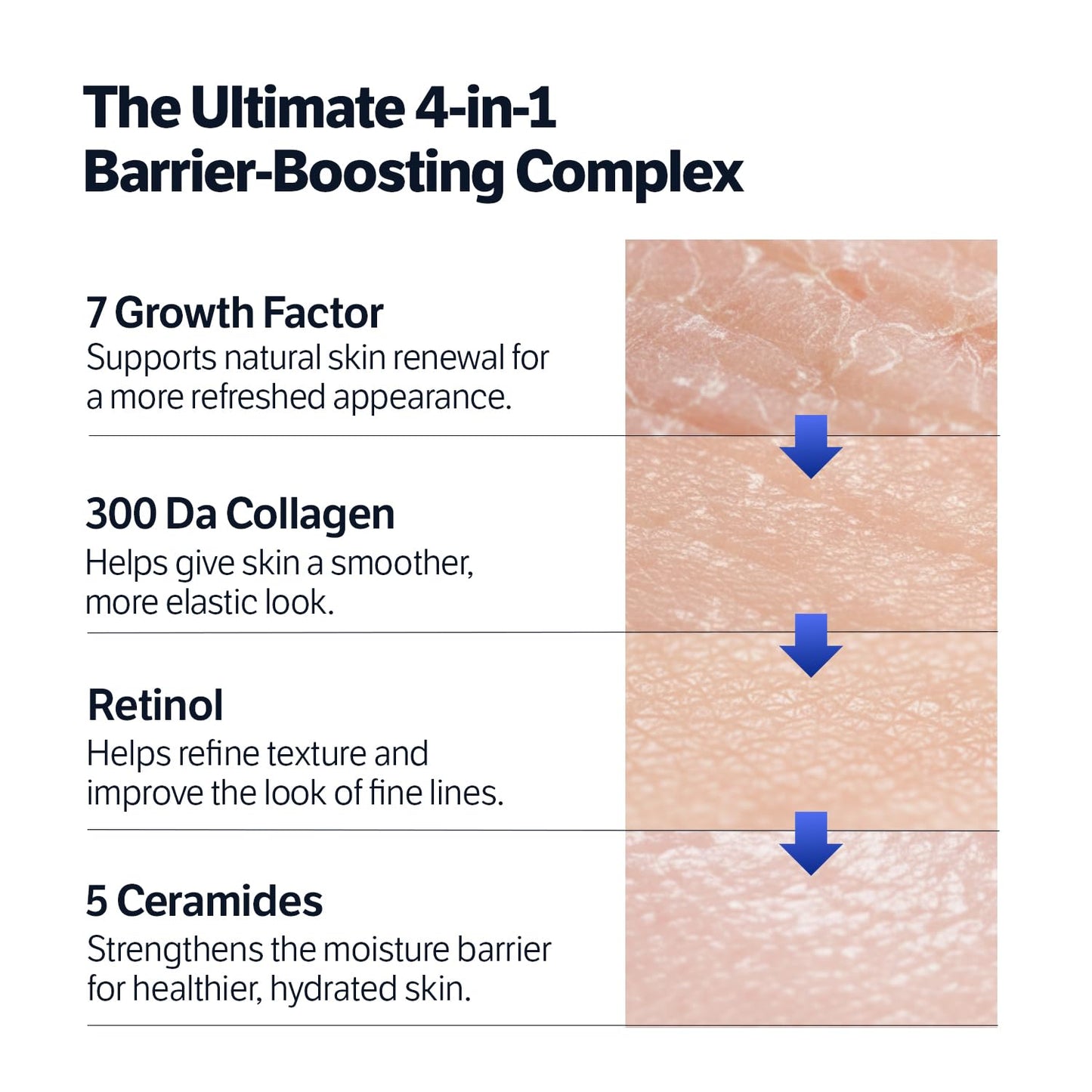 SUNGBOON EDITOR Deep Collagen 7GF Korean Night Cream for Face and Neck | Advanced Skincare Formula & Nighttime Moisturizer | 5 Ceramides & Retinol | Firm-Looking/Barrier-Supporting, 1.69oz