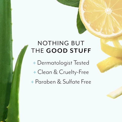 Bliss Luscious Hand Wash - Hydrating Lemon & Sage Soap with Aloe, Coconut Oil & Vitamin B5 - 12.14 fl oz