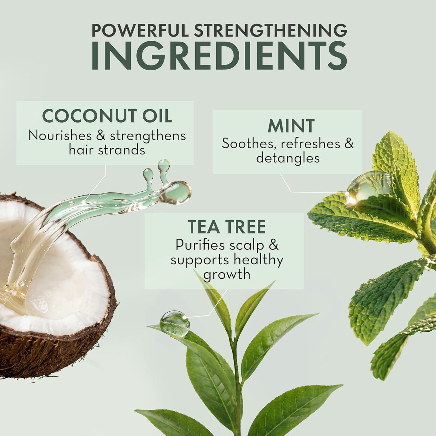 Skiennix Leave-In Conditioner Spray - Tea Tree Scalp Treatment for Dandruff Relief | Hydrating & Nourishing Formula