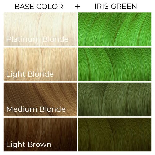 ARCTIC FOX Vegan and Cruelty-Free Semi-Permanent Hair Color Dye (4 Fl Oz, IRIS GREEN)