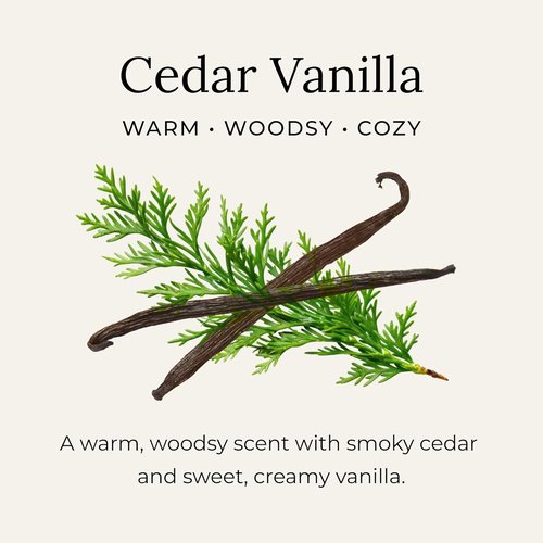 Little Seed Farm All-Natural Deodorant Cream - Cedar Vanilla Scent | Aluminum-Free, 2.4oz (68g)