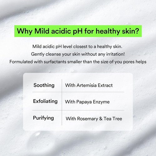 Abib Mild Foam Cleanser - Heartleaf Formula for Gentle Cleansing | 5.07 fl. oz