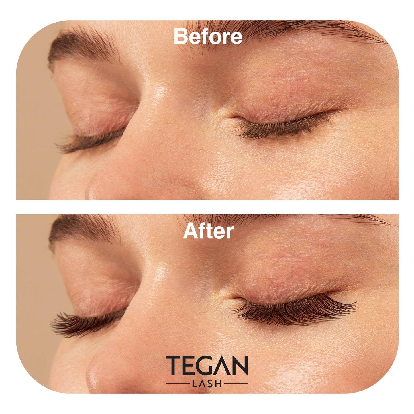 TEGAN LASH 500 Promade Fans Volume Eyelash Extensions, Handmade Loose False Eyelashes, From 3D - 16D, 0.03/0.05/0.07 Thickness, C/CC/D Curl, 9-15mm Length, Pestanas Pelo A Pelo (16D-0.03-CC-10)