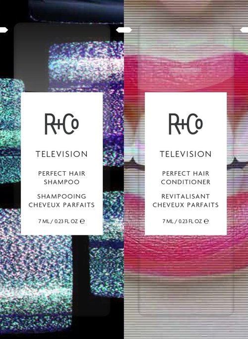 R+Co TELEVISION Perfect Hair Shampoo – Hydrating & Smoothing Hair Cleanser, Adds Shine & Softness, All Hair Types