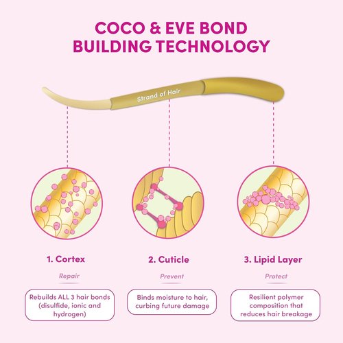 Coco & Eve Conditioner - Deep Conditioning Pre-Shampoo Treatment for Dry, Damaged Hair | 4.23 fl oz