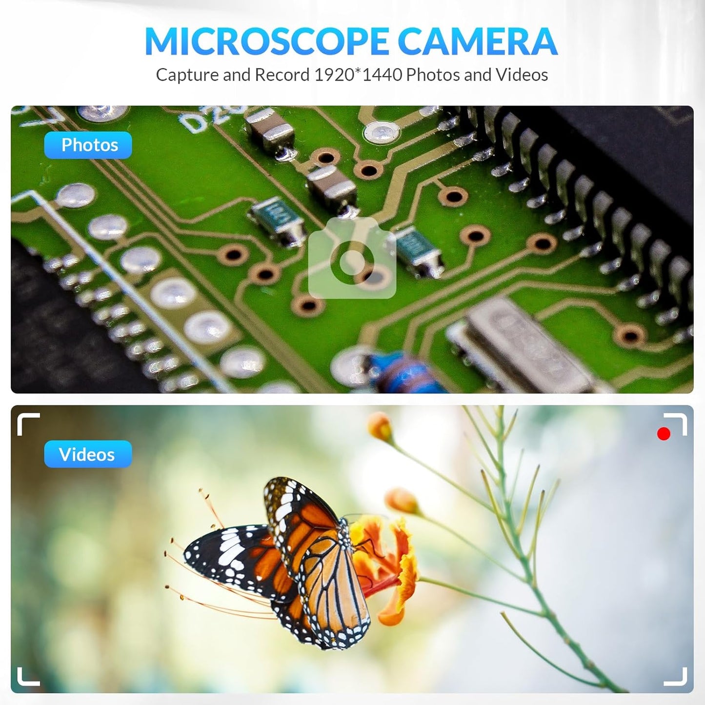 Skiennix Handheld Digital Microscope - Wireless & Portable 50x-1000x Magnification | 360° Rotating Stand for iOS/Android