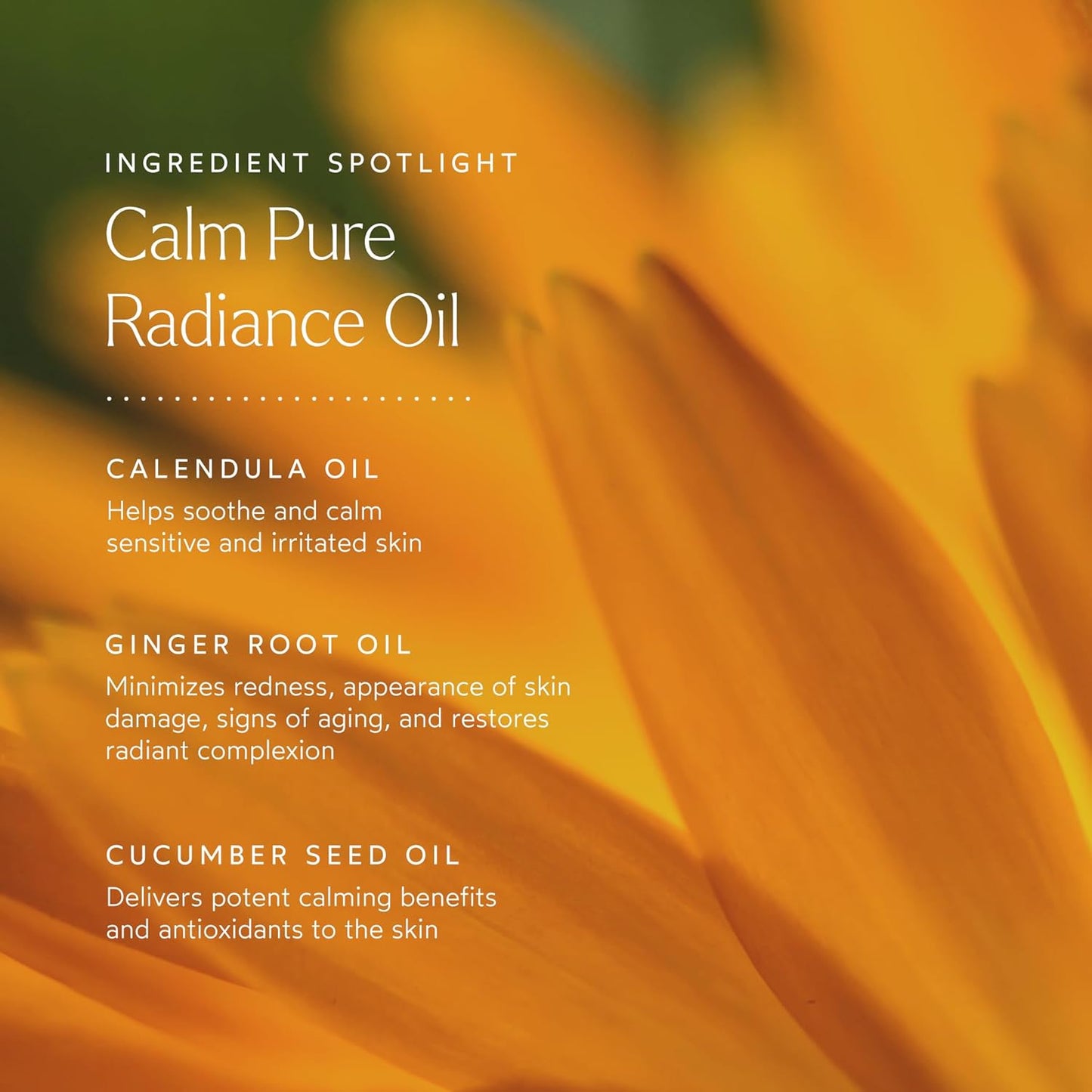 True Botanicals - Organic CALM Pure Radiance Face Oil | Clean, Non-Toxic Skincare (1 fl oz | 30 ml)