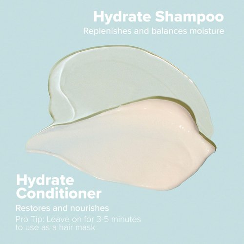 Paul Mitchell Clean Beauty Hydrate Shampoo - Replenishes Moisture for Dry Hair | 10.1 Fl Oz