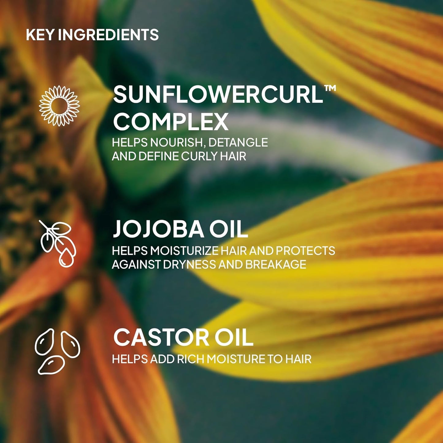 VERB Curl Oil - Define, Shine & Smooth Frizz for All Curl Types - Silicone-Free & Paraben-Free