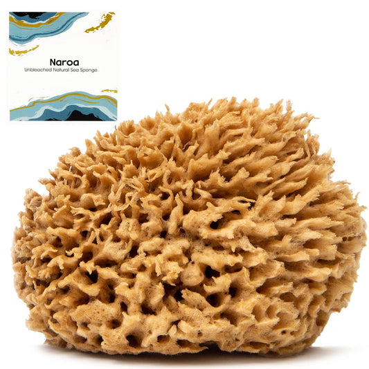 Naroa Soft Natural Shower Sponge | Gentle Sea Loofah for Bathing Smooth Skin | Unbleached Body Scrubber Puff | Bath & Spa (Small)