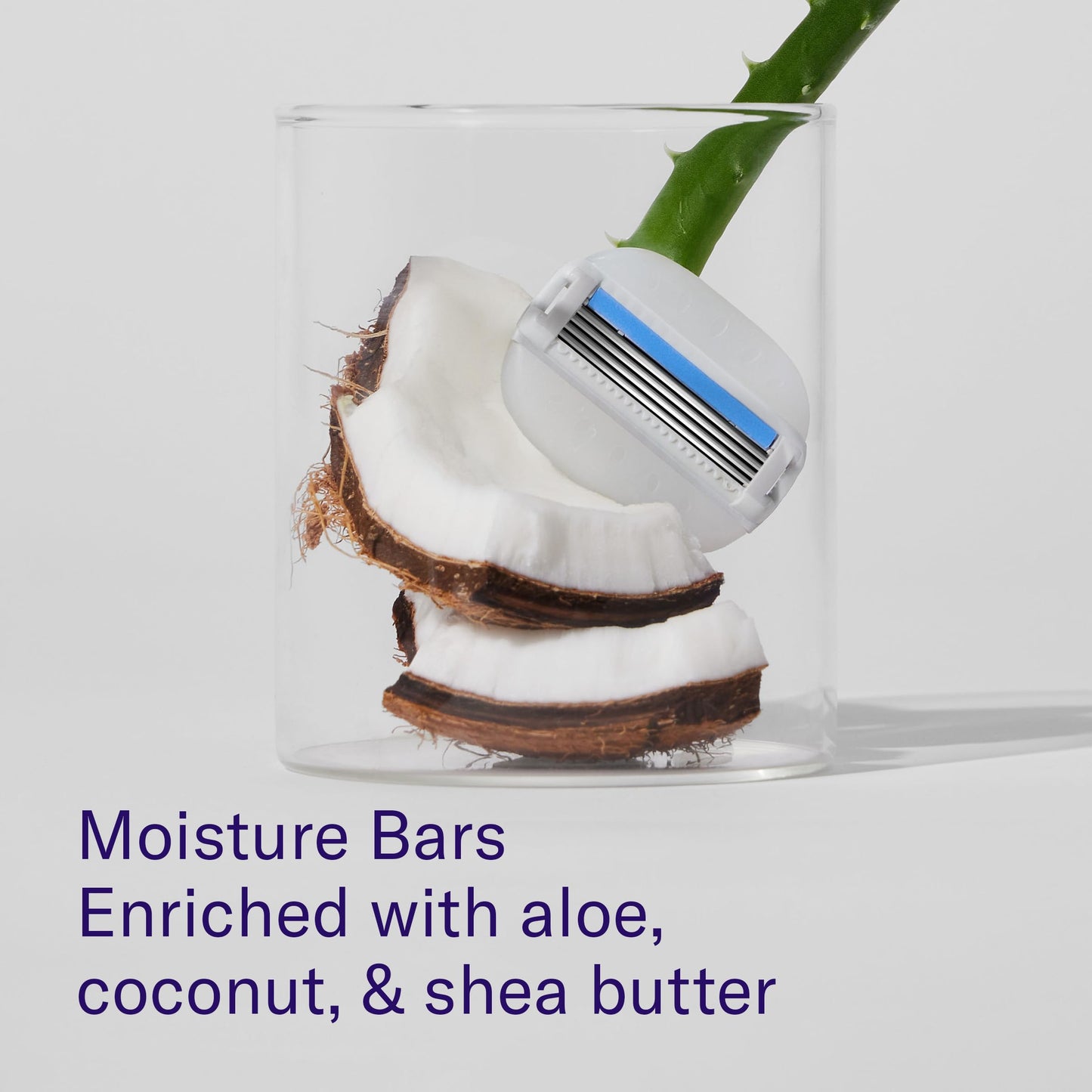 Flamingo Moisture Plus Women's Razor Set - Razor Handle, 4 Razor Blade Refills, Shower Holder - Fig