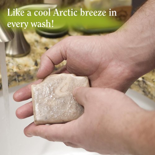 **Compass Soap Petoskey Stone - Natural Bar Soap for Men | Gentle Lather, Paraben & Phthalate Free | 5 oz, Pack of 2**