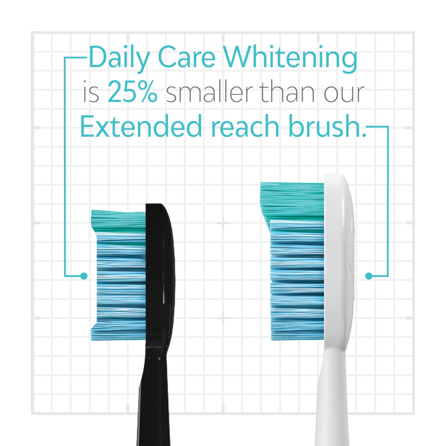 TAO Clean Daily Care Whitening Replacements Heads - Black - 2 Pack