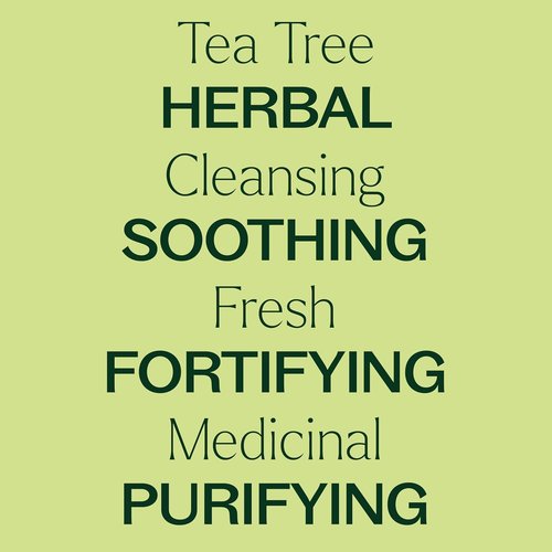 Plant Therapy Organic Tea Tree Oil - 100% Pure & USDA Certified Organic | Natural Aromatherapy 30 mL (1 oz)